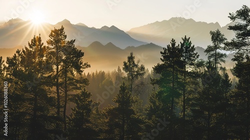 Realistic mountains landscape. Morning wood panorama, pine trees and mountains silhouettes. Vector forest hiking background