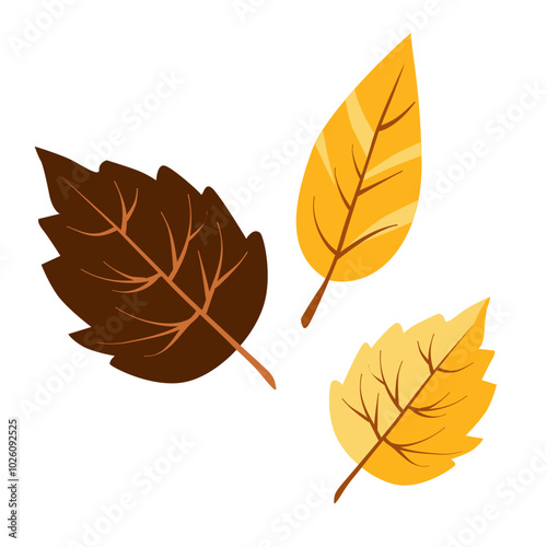 Vector autumn yellow dry birch leaves. Flat illustration with brown plants for design