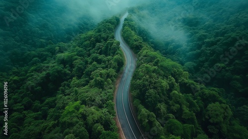 Overhead Shot of Winding Mountain Road in Green Nature