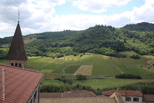 Tableau sur toile Vignoble du Beaujolais en France