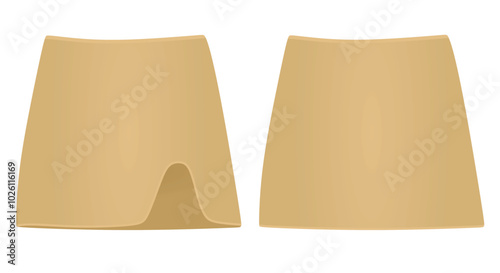 Brown mini skirt. vector illustration