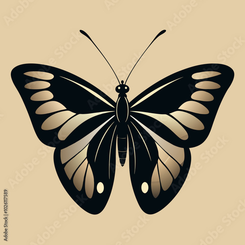 A solid black butterfly photo