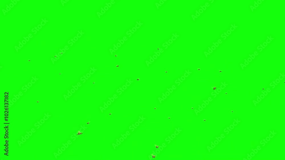 Swarm Of Honey Bees Flying On Green Screen 8 Swarm Of Honey Bees Flying On Green Screen 8