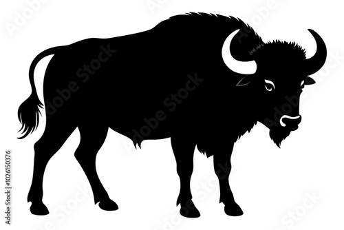 buffalo silhouette vector illustration