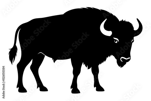 buffalo silhouette vector illustration