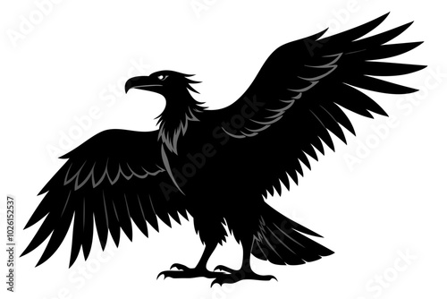 condor silhouette  vector illustration