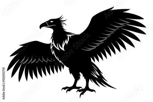 condor silhouette  vector illustration