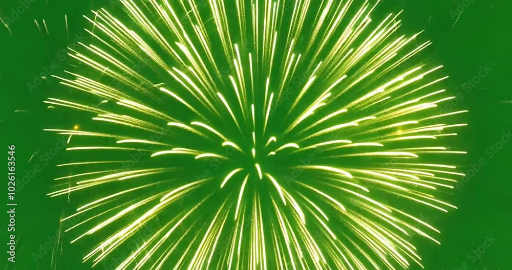 Firework Explosion Green Screen Background 4K Full HD Video Download Firework Explosion Green Screen Background 4K Full HD Video Download