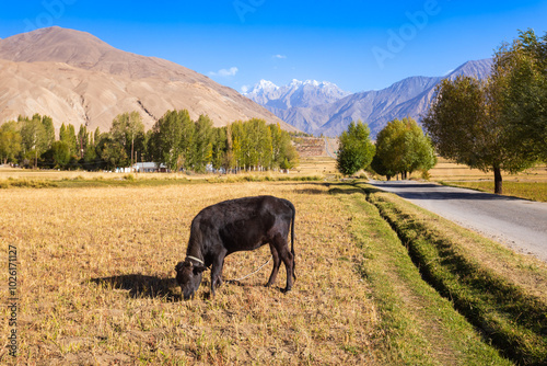 Ishkoshim village landscape in Pamir Region in Tajikistan photo