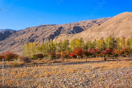 Ishkoshim village landscape in Pamir Region in Tajikistan photo