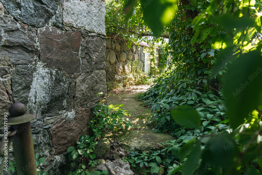 Stone archway leading to a hidden pathway within a lush green garden. The stonework of the archway is weathered and worn, suggesting a long history. The pathway is lined with stone steps. Stone archway leading to a hidden pathway within a lush green garden. The stonework of the archway is weathered and worn, suggesting a long history. The pathway is lined with stone steps.