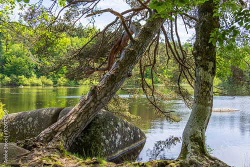 The merle lake, lac du merle in the Sidobre country near the village of Lacrouzette. Tarn. Occitania. France.