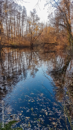 Tranquil pond reflects long shadows from surrounding trees. Still water creating mirror-like effect. Eustacchio park in Waltendorf, Graz. Serene picturesque autumnal scene with golden colored leafs photo