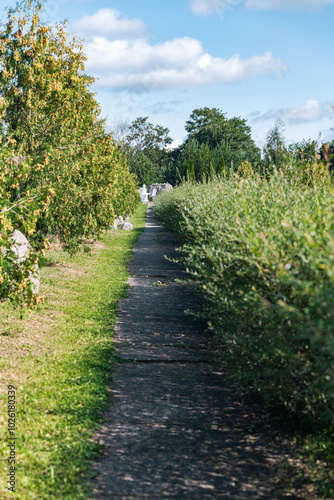 Path winding through a beautifully landscaped park. The path is framed by lush greenery on either side, creating a sense of privacy and tranquility.