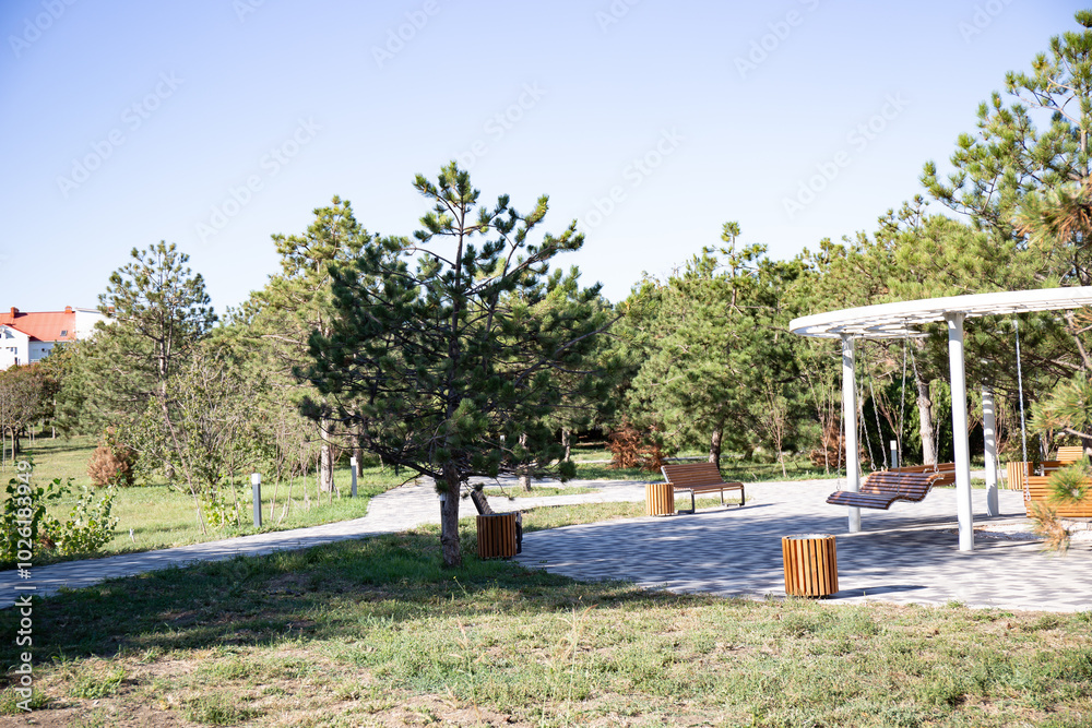 Wooden bench in the park on a background of the blue sky in the walnut grove of Anapa in summer Wooden bench in the park on a background of the blue sky in the walnut grove of Anapa in summer