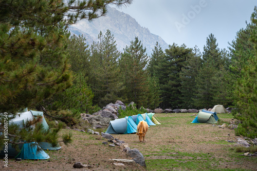 Tents at GR20 Asco station, place for staying overnight at the famous hiking trail in Corsica