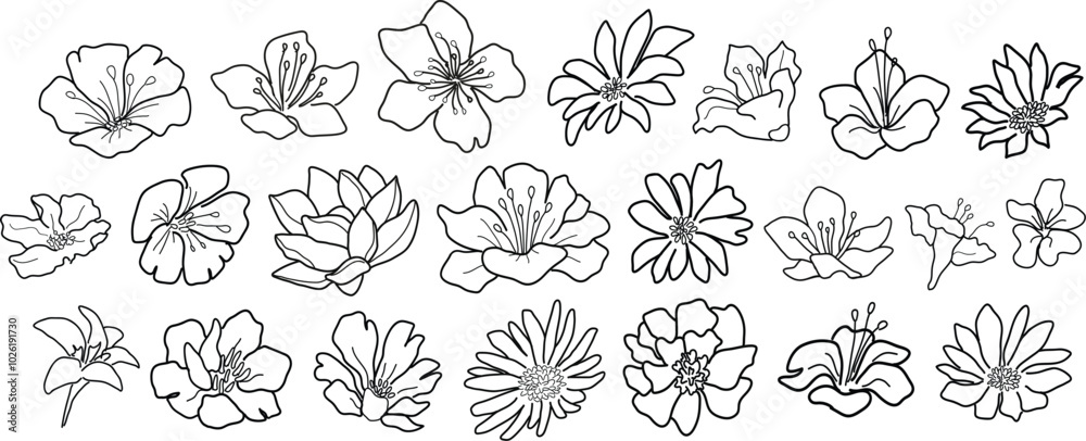 Set of different line art flowers. Hand drawn botanical vector set. Trendy floral wildflowers set. Set of different line art flowers. Hand drawn botanical vector set. Trendy floral wildflowers set.
