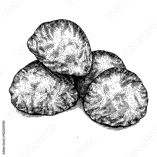 Profiteroles Cream Puffs Vintage Black and White Outline Line Art Drawing with Detailed Texture