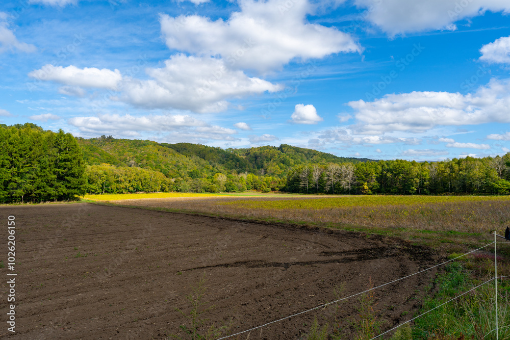 Naklejka premium 北海道の道路の風景 羊蹄山方面