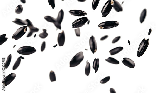 Macro view of Black rice falling on white background