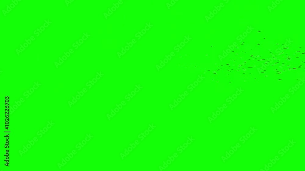 Swarm Of Honey Bees Flying On Green Screen 18 Swarm Of Honey Bees Flying On Green Screen 18