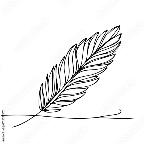 Minimalist black and white feather line drawing