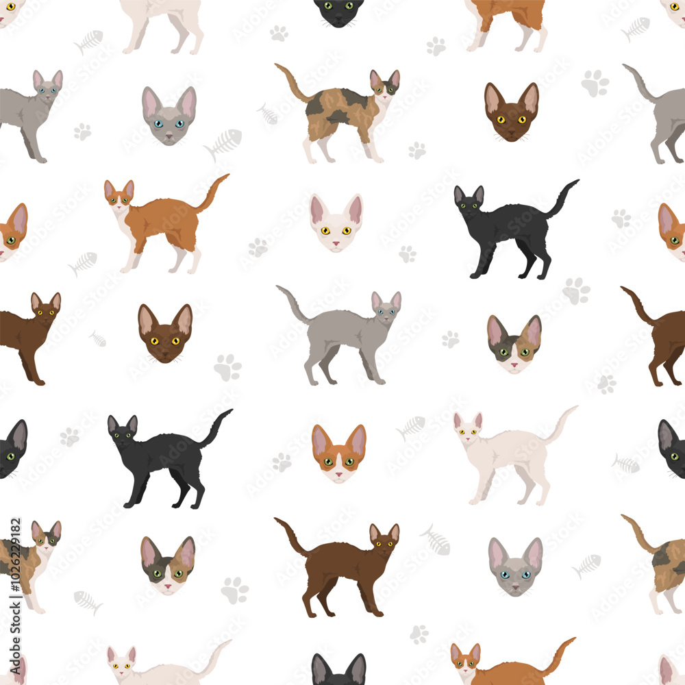German Rex cat seamless pattern. All cat breeds characteristics infographic. Vector illustration German Rex cat seamless pattern. All cat breeds characteristics infographic. Vector illustration