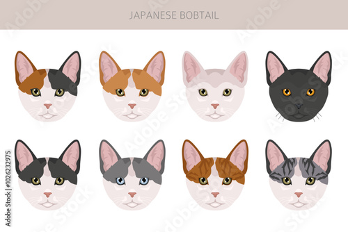 Japanese bobtail cat clipart. All cat breeds characteristics infographic. Vector illustration