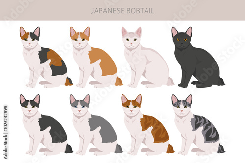фотографія Japanese bobtail cat clipart
