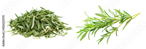 Fresh and dry tarragon, aromatic and bold unique flavor, cut out background
