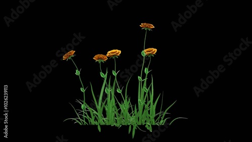 Plants and flowers growing on alpha channel