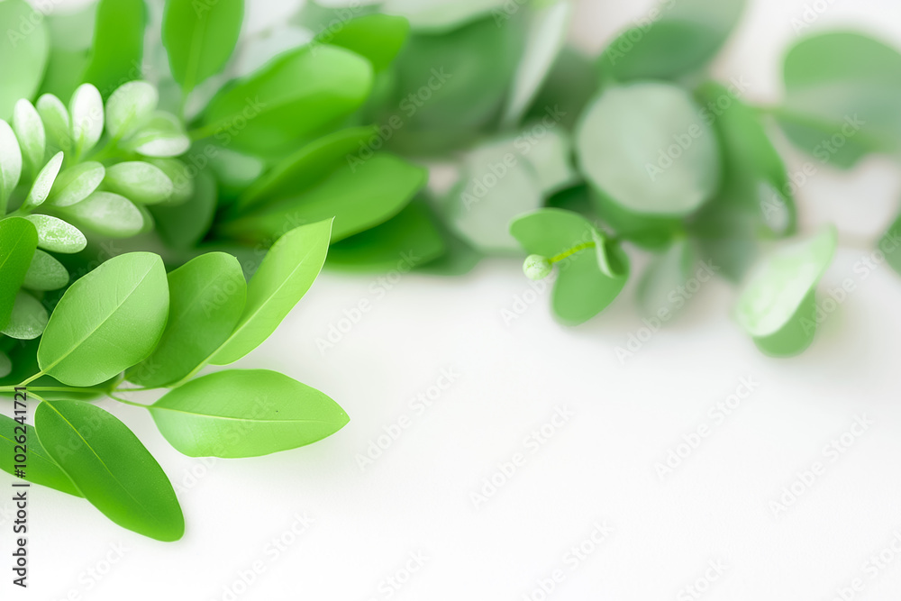 The scene showcases vibrant green leaves artistically laid out against a clean white backdrop, evoking a sense of tranquility and natures beauty, perfect for decorating The scene showcases vibrant green leaves artistically laid out against a clean white backdrop, evoking a sense of tranquility and natures beauty, perfect for decorating