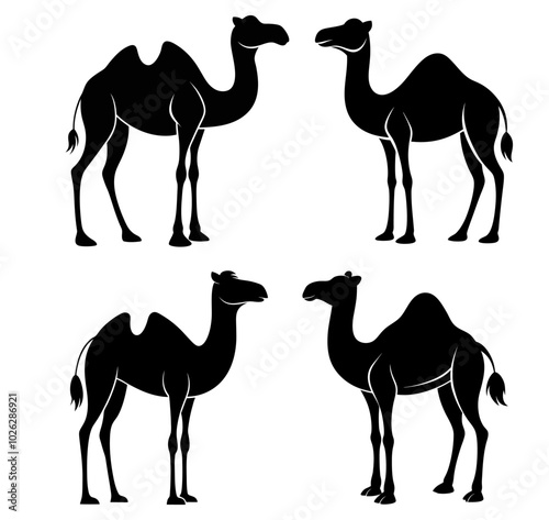 Vector illustration of camel silhouettes in various poses and positions. Arabian camels are depicted as standing or walking in an outline and icon set.