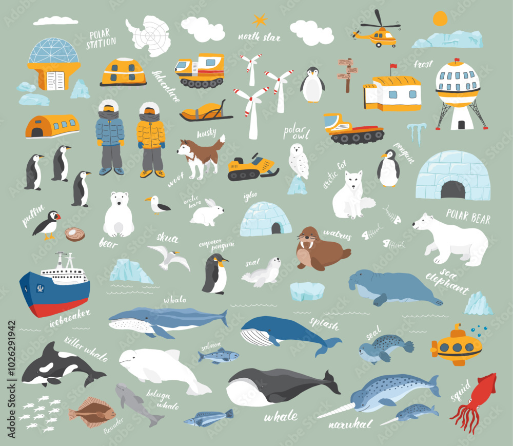 Polar animals collection, cute birds, fish and marine mammals. Arctic wild animals and polar stations set. Vector illustration