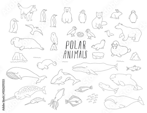 Wallpaper Mural Polar animals collection, cute birds, fish and marine mammals. Arctic wild animals set. Vector illustration Torontodigital.ca