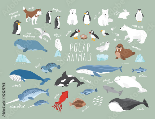 Polar animals collection, cute birds, fish and marine mammals. Arctic wild animals set. Vector illustration
