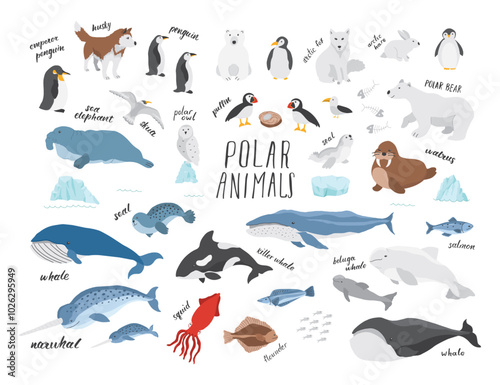 Polar animals collection, cute birds, fish and marine mammals. Arctic wild animals set. Vector illustration