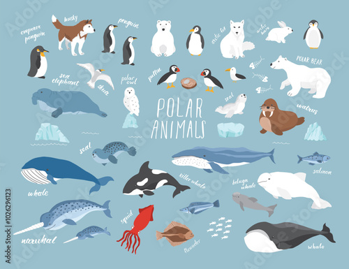 Polar animals collection, cute birds, fish and marine mammals. Arctic wild animals set. Vector illustration