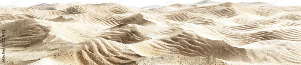 Sand dunes in desert Sand dunes in desert
