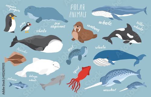 Polar animals collection, cute birds, fish and marine mammals. Arctic wild animals set. Vector illustration