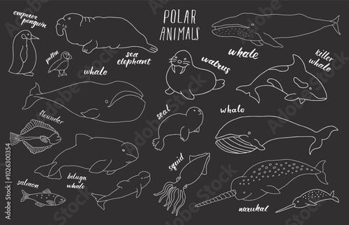 Polar animals collection, cute birds, fish and marine mammals. Arctic wild animals set. Vector illustration