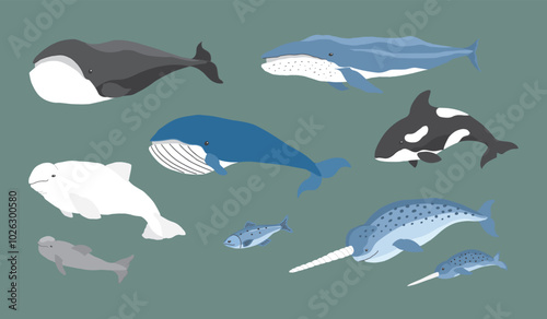 Polar animals collection, cute birds, fish and marine mammals. Arctic wild animals set. Vector illustration