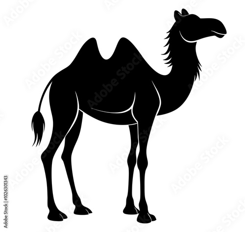 Vector illustration of silhouettes of camels. Arabian camels are depicted in outline as they stand or walk icons.