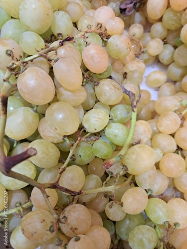 Grappe de raisin blanc