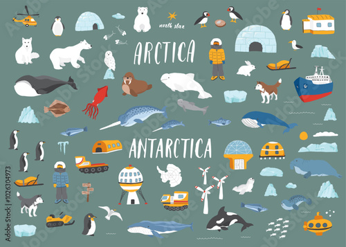 Polar animals collection, cute birds, fish and marine mammals. Arctic wild animals and polar stations set. Vector illustration