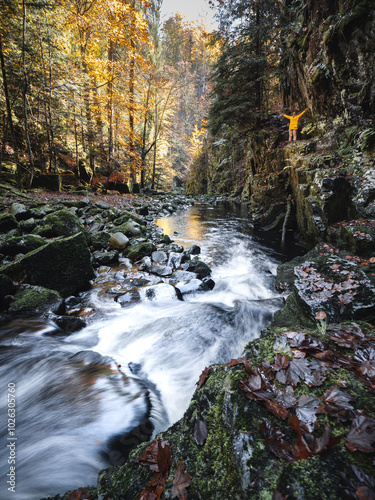 Bach im Bayerischen Wald