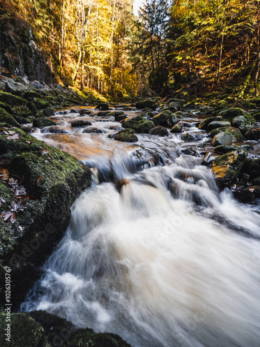 Bach im bayerischen Wald