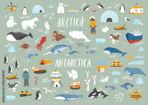 Polar animals collection, cute birds, fish and marine mammals. Arctic wild animals and polar stations set. Vector illustration