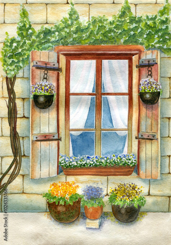 Grape vine above a window with shutters