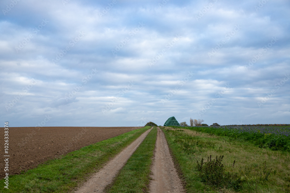 Panoramic view on a dirt road in September with corn, rapeseed, sugar beet and few trees Panoramic view on a dirt road in September with corn, rapeseed, sugar beet and few trees